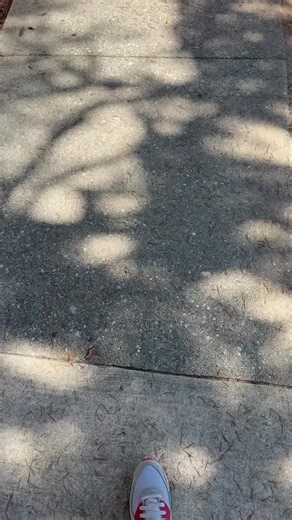 Exploring Beverly Hills 90210: A Fan's Paradise