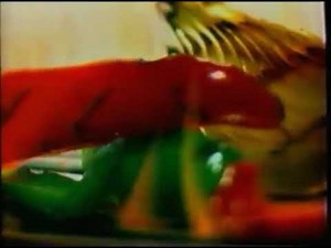 Burger King Commercial 2003