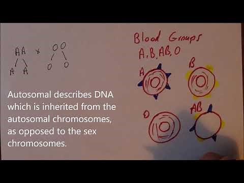 Introducing Genetics 8, ABO blood group inheritance