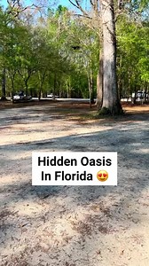 23K views · 454 reactions | Have you ever been to Ginnie Springs?! #ginnie #ginniesprings #statepark #traveltips #floridatravel #traveltheworld #hiddengems #vacationmode #floridaliving #florida #getaways #daytrips #secretspot #getaway #floridafun #floridalifestyle #adventure #staycation #springs #naturalsprings #diving #floridasprings | Florida Trippers | Facebook