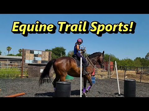 Equine Trail Sports! Likes, Dislikes & Tips!