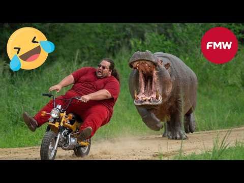 Try Not To Laugh 🤣 Top 100 Funniest Videos Ever 😂 | Funny Videos Compilation 2026 #106