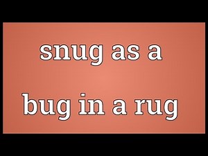 Snug as a bug in a rug Meaning