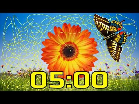 5 Minute Spring Timer BUTTERFLY 🦋