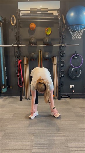 Hamstring Stretch