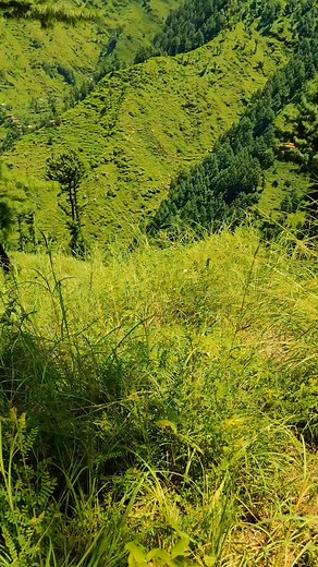 Beautiful baleran top check view #naturelovers #Torghar | Suliman vlogs