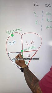 10K views · 536 reactions |  How adenosine works #paramedicstudent #emtstudent #emtschool #emt #emtlife #paramedic #paramedicschool #paramedicos #paramediclife #paramedicscience #paramedical | Master Your Medics | Facebook