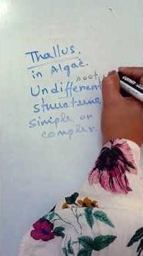 What is Thallus? #microbiology #algae #mysteryofmicrobes