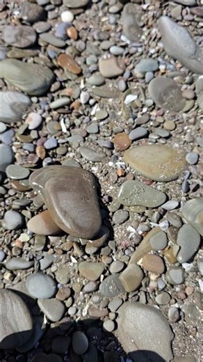 #seaglass #clear #beachglass #beach #beachcombing #glass #sand #rocks #ohio #adventure #couple #nice