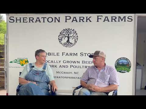 The Honest Truth About Running a Small Farm (It’s Constant Problem Solving)