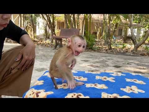 Ronaldo Tantrum CRY Hard Angry Mom With No Reasonable