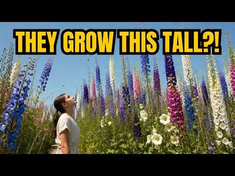 🍃7 Tall Perennials That Add Layer And Structure To Your Garden | Big Blooms😍