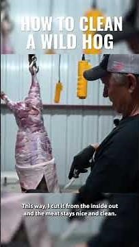 Keith Warren Teaches you how to clean a wild hog!