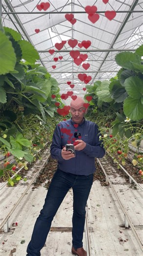Lidl - De Liefde voor Groente & Fruit