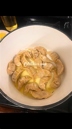 Easy Potsticker Soup Recipe