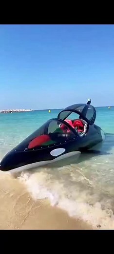 Exciting Sea Shark watercraft adventure with jetski and more