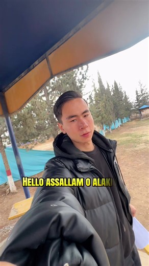 Collecting My Transcript: A Journey from Student Life to Reality