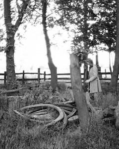 7.5K views · 84 reactions | Cabinets of Curiosities emerged in Europe during the 16th century. Exhibits often included specimens relating to mythical beasts that were believed to exist, such as mermaids, dragons and unicorns and experiments involving magic and alchemy. Despite advances in scientific thinking, even in 1769 William Constable still believed that it was possible to cross-breed rabbits and chickens. | Real Royalty | Facebook