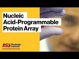 Nucleic Acid-Programmable Protein Array