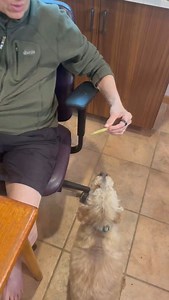 Our dog loves eating asparagus. We had to fence our asparagus, fed to keep him out of the asparagus. Keep it fun with your children and your grandchildren. Tell them vegetables are magic and have magical powers. Please share how you keep food fund for your kids in a health promoting way.#asmr. I am hosting a free nutrition webinar this coming Tuesday. The link to register is in the bio or copy and paste this link into your Internet browser. Https://webinar.terrywahls.com/defeat-ms.html #multiple