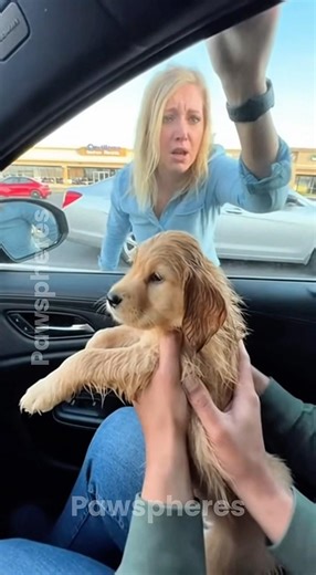 I Found Him INSIDE A Washing Machine 😱 #animalrescue #humanity #dog