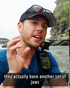 6.1M views · 80K reactions | The result of this experiment was quite... shocking  | Coyote Peterson | Facebook