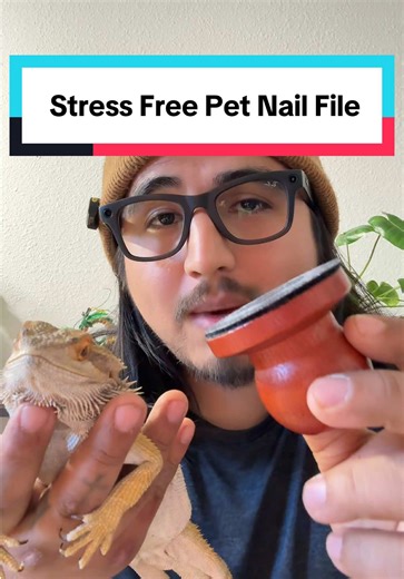 Stress Free Pet Nail File for Easy Dog Grooming