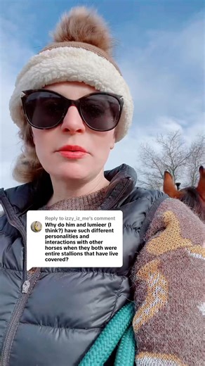 4.3K views · 216 reactions | Free Spirit Equestrian on Reels | Facebook