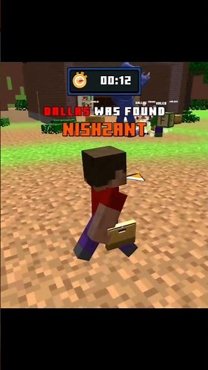 Minecraft, But Every Block Is Custom!