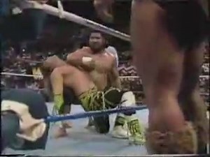 The Rockers Vs Haku & Barbarian