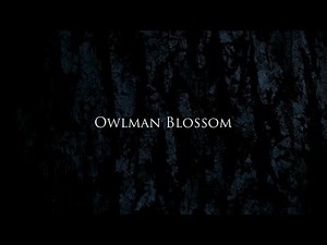 OWLMAN BLOSSOM - 深緑