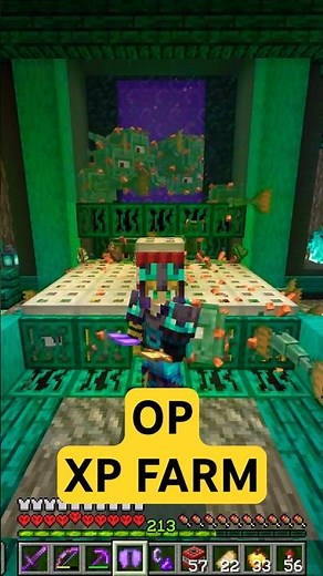 INSANE Guardian Farm – Unlimited XP + Drops!