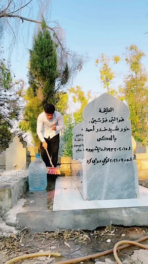 Cleaning a Gravestone in a Serene Cemetery Setting