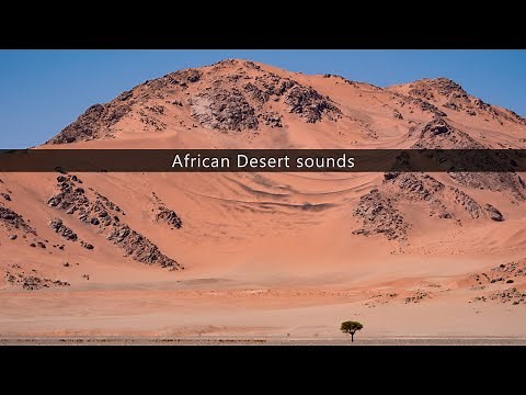 African Desert sound effects library