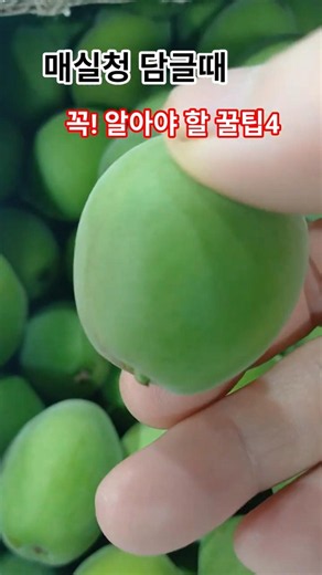 4 Common Mistakes When Making Plum Extract #HealthTips