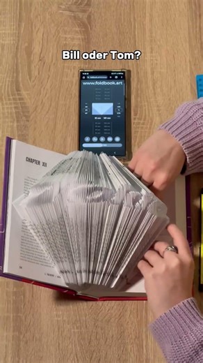 Wähle zwei Brüder aus #foldbook #art #puzzle