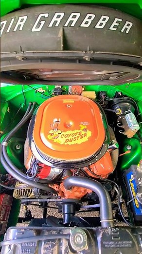 1969 Plymouth Road Runner Hardtop Rallye Green On Black Snakeskin Walkaround Mecum Kissimmee