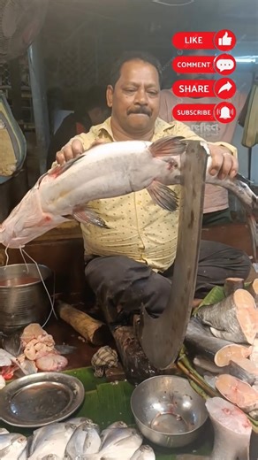 🔥❤️ Amazing Great Super Delicious 7 Kg Ayer Fish Cutting Techniques #shorts #fishcutting_skills