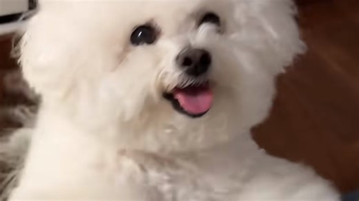 第4节、Locator基台安装教程：直接法