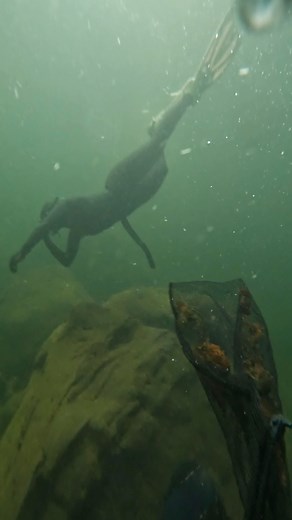 721K views · 13K reactions | Vlad Siryk on Reels | Facebook