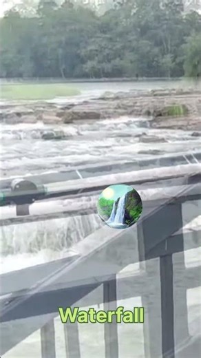 Waterfall || जलप्रपात || #shorts #shortsfeed #viral #amazing