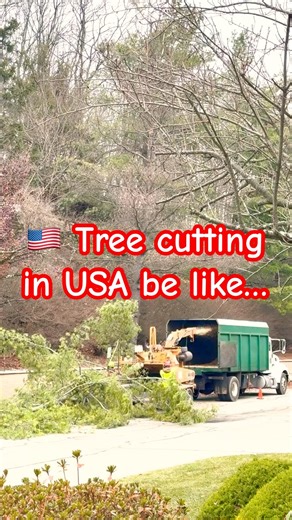 Tree cutting in USA is next level! 🔥🇺🇸 #shorts #ytshorts #treeremoval