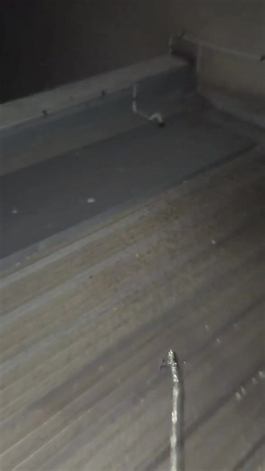 Albury Building Exploration: Guess Who's Back