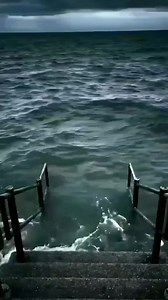 Premium Memes on Reels