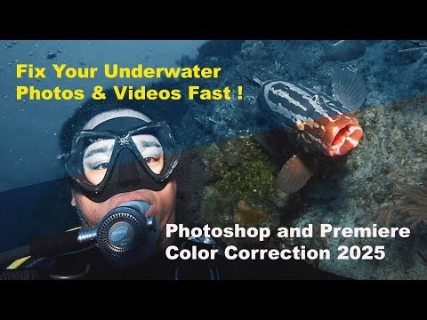 How to Fix Your Blue Underwater Photos Videos! Diving and Snorkeling Tips Capture One/Premiere 2025