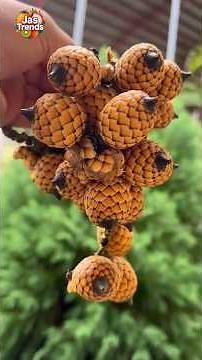 Top 5 Most Exotic Fruits Found Only in India! #fruit #fruitlovers #exoticfruit