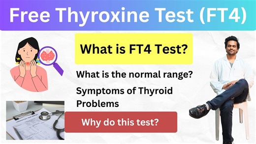 FT4 Test | Free Thyroxine Hormone Test