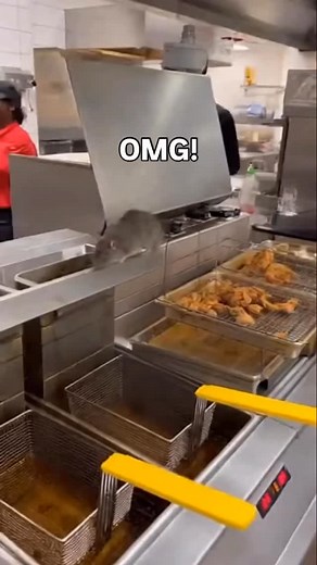 Fried rat anyone | Andre Hall