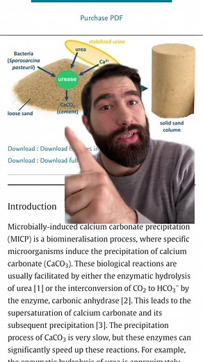 Growing Concrete with Microbes: A Sustainable Solution