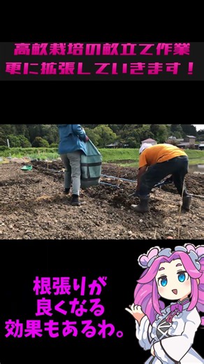高畝栽培の畝立て作業更に拡張していきます！ #無農薬栽培 #農業 #現代農業 #土壌改良 #ずんだもん #大地の再生 #土壌改善 #千葉県茂原市 #自然栽培 #里山再生